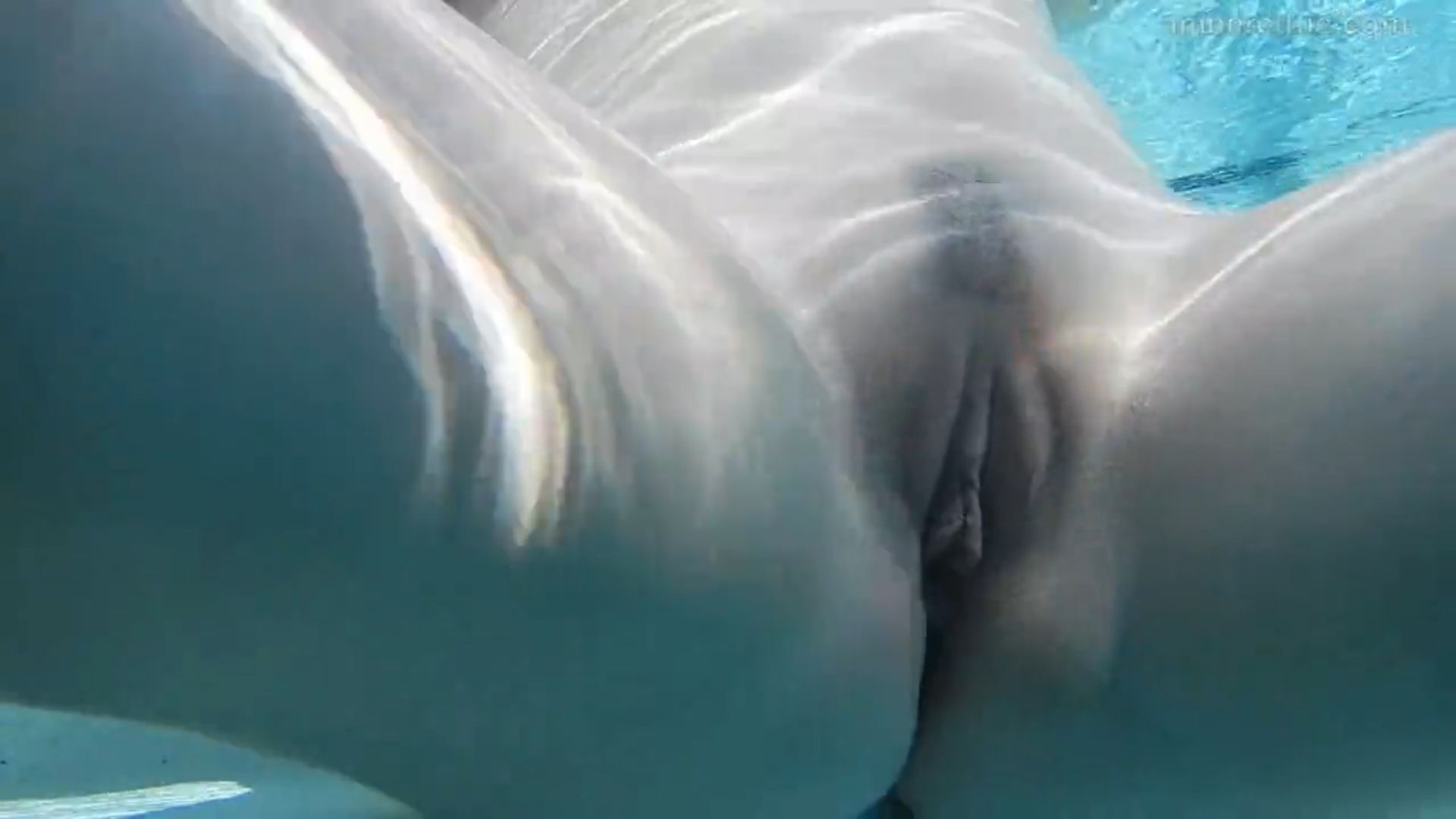 Photo 67 of Amber Cutie