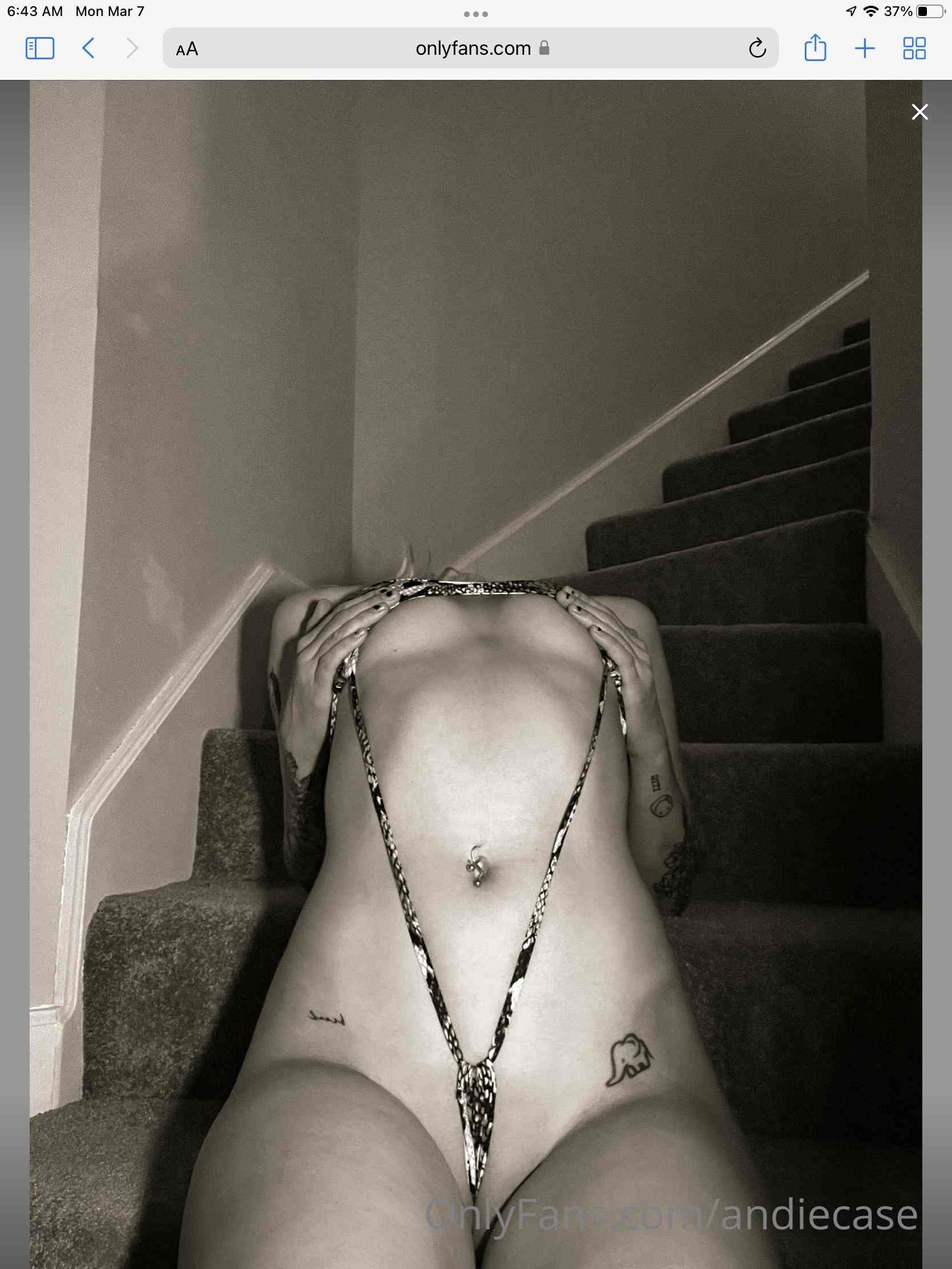 Photo 100 of Andie Case