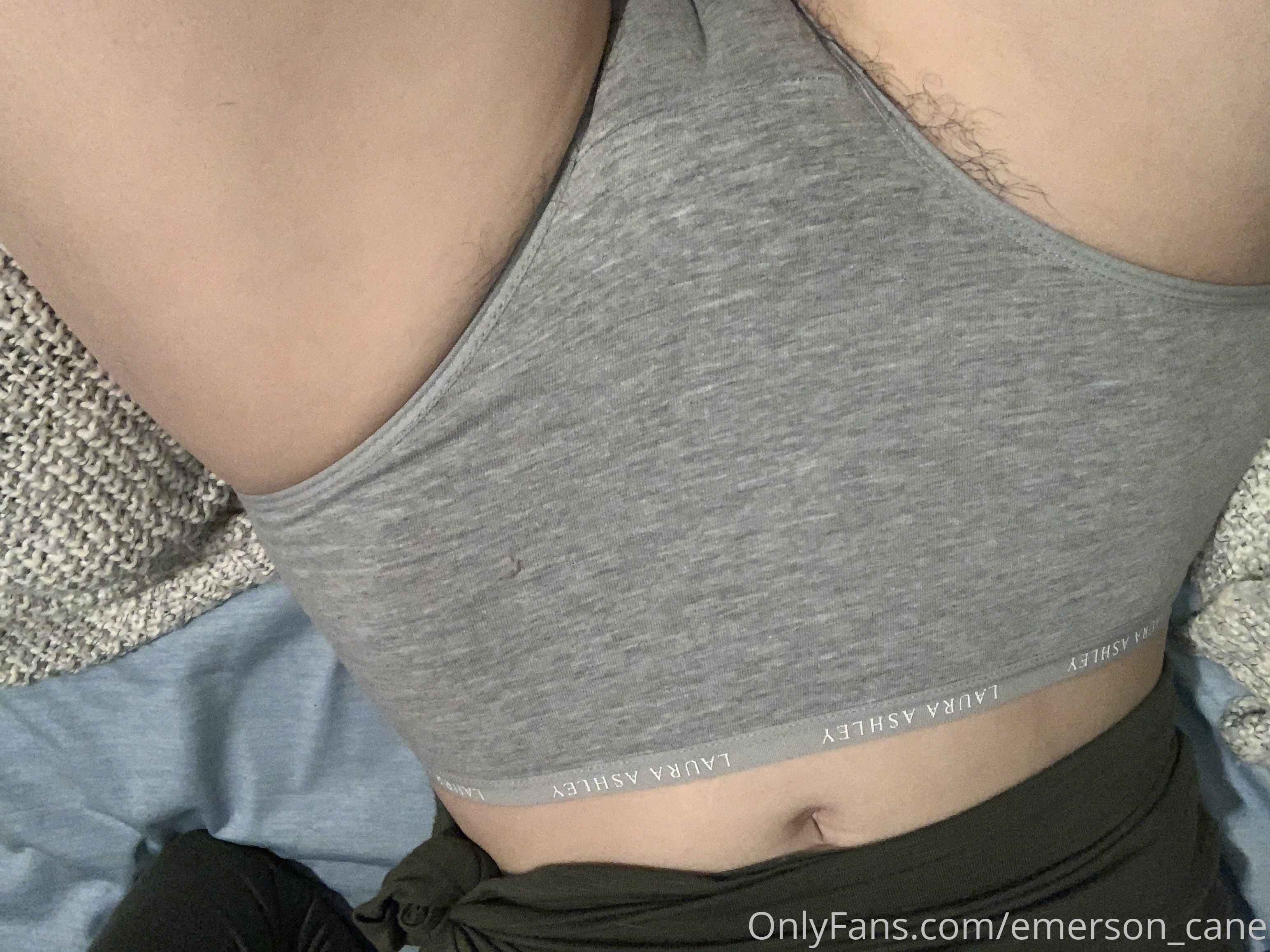 Photo 24 of Emerson_cane