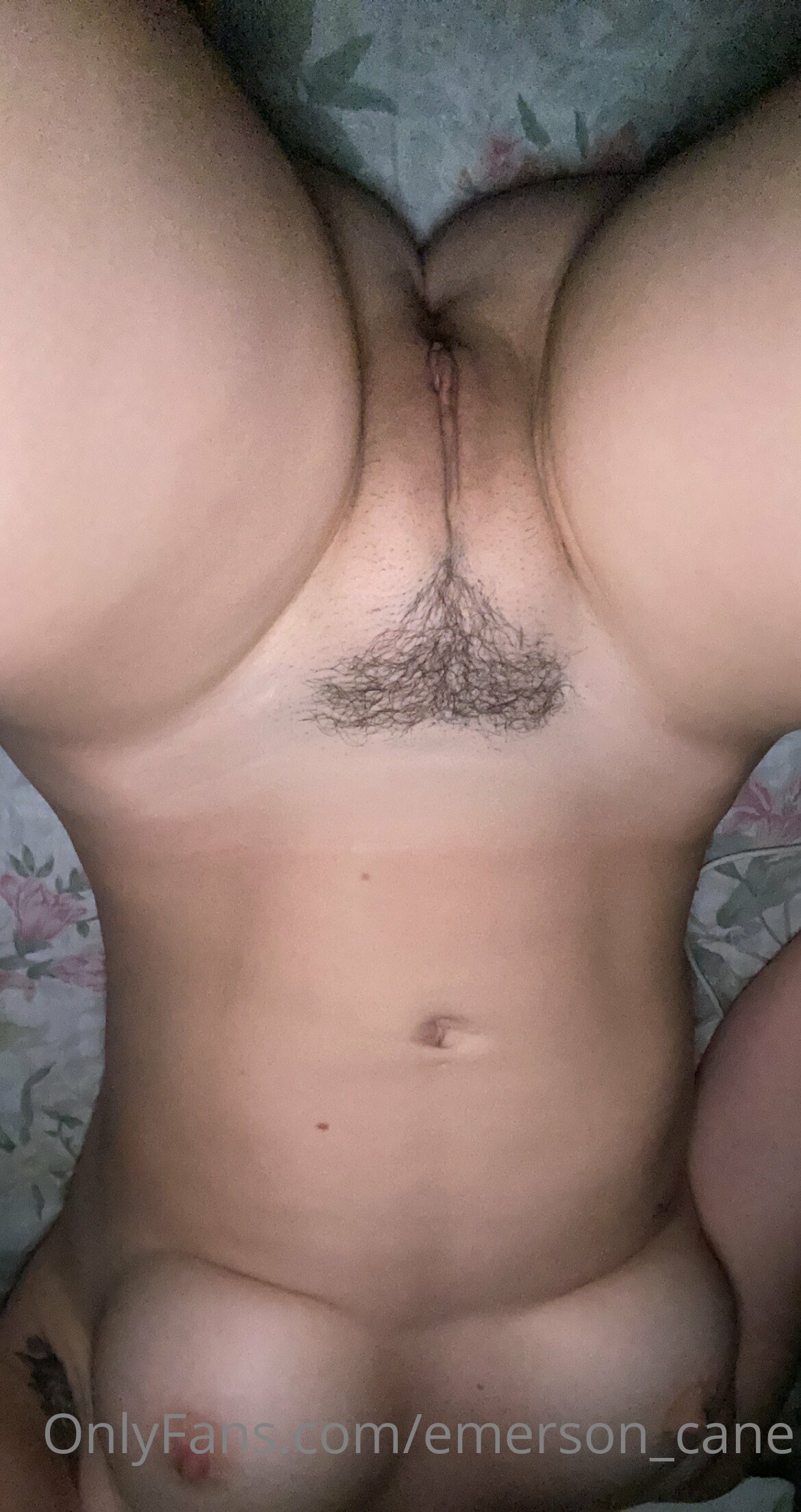 Photo 79 of Emerson_cane