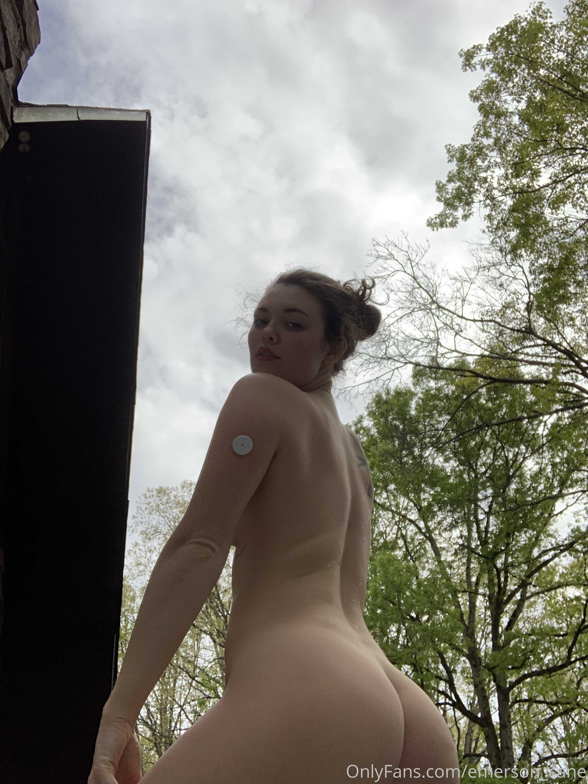 Photo 12 of Emerson_cane