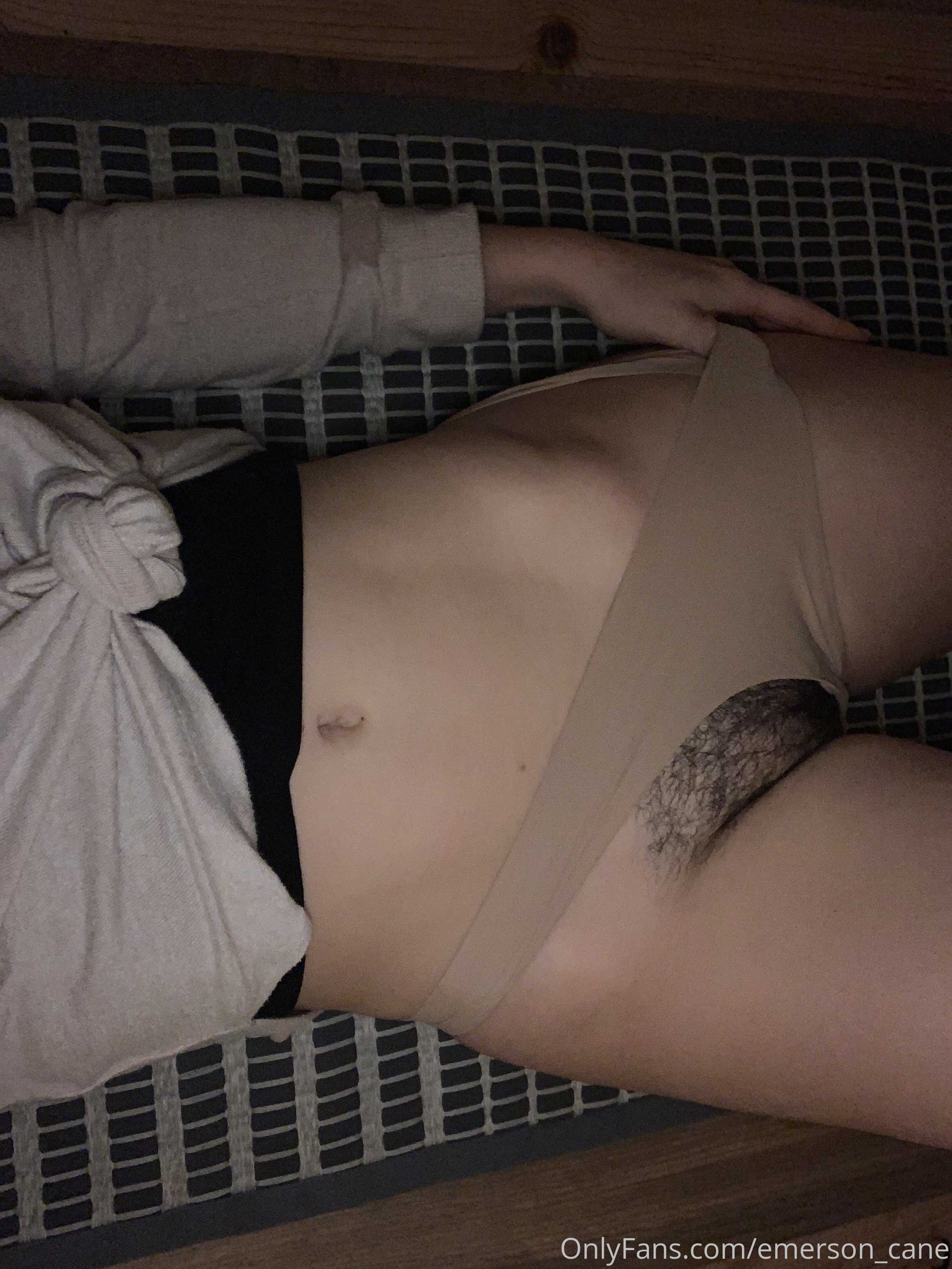 Photo 10 of Emerson_cane