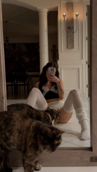Photo 31 of kattpaccino