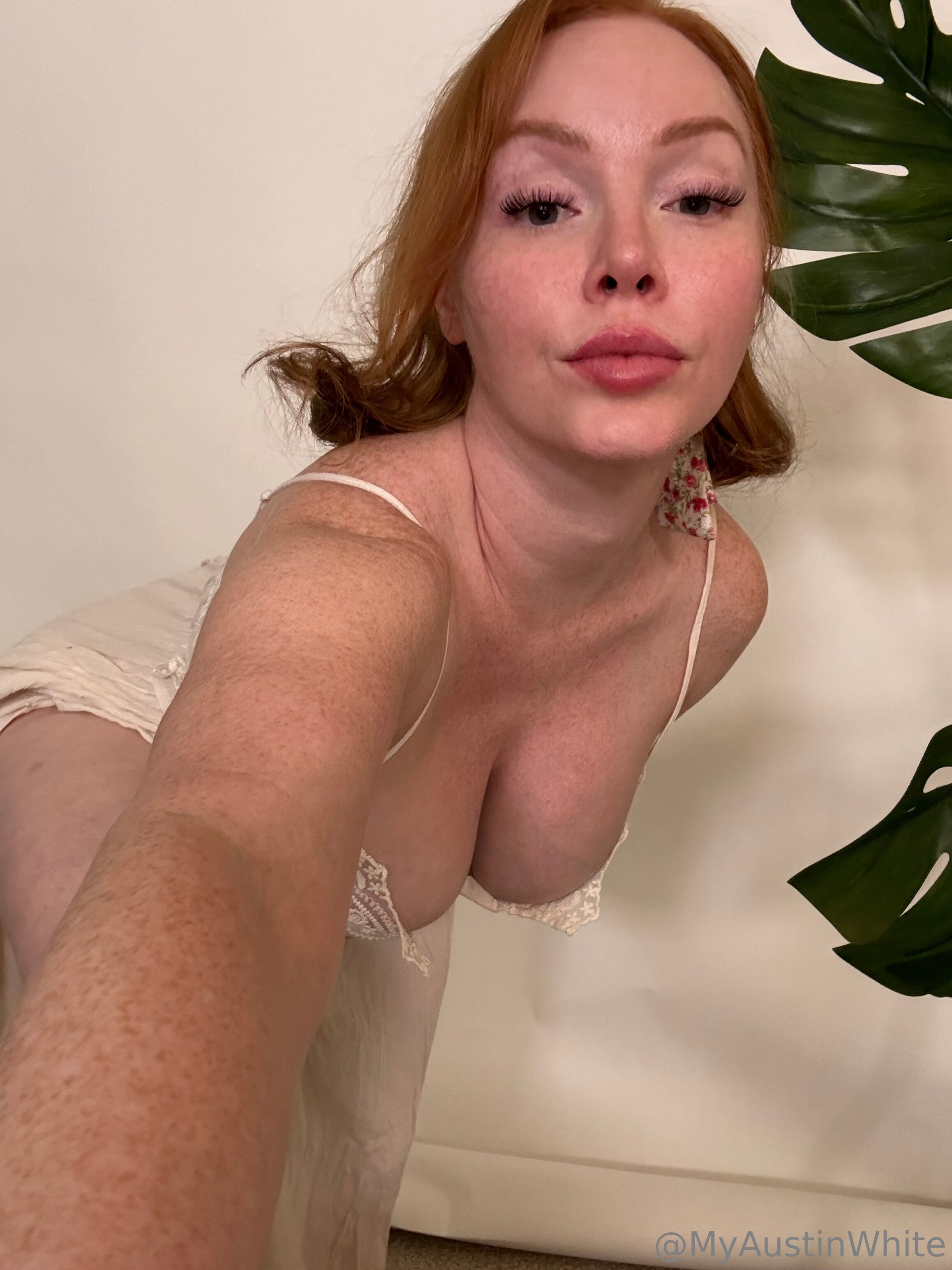 Photo 67 of Austin White