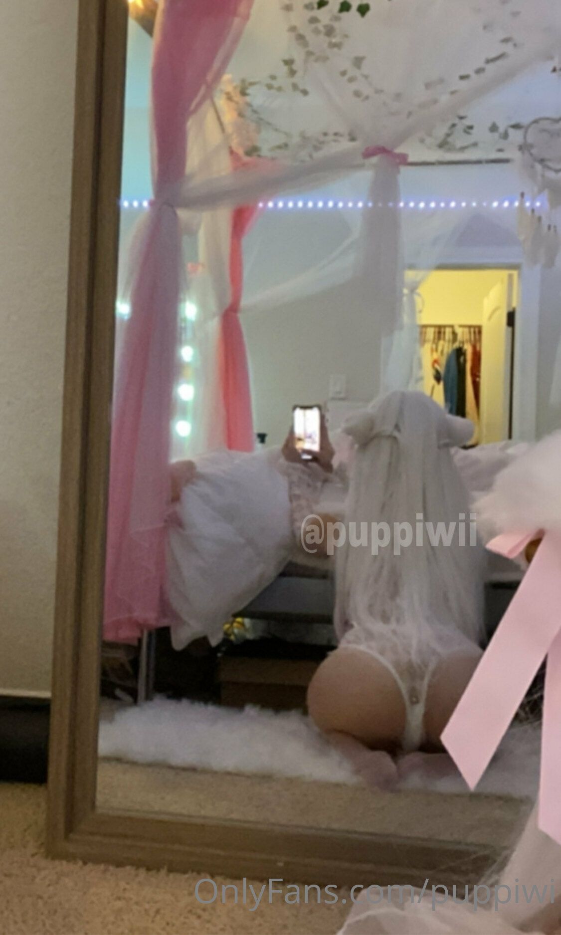 Photo 67 of Puppiwi