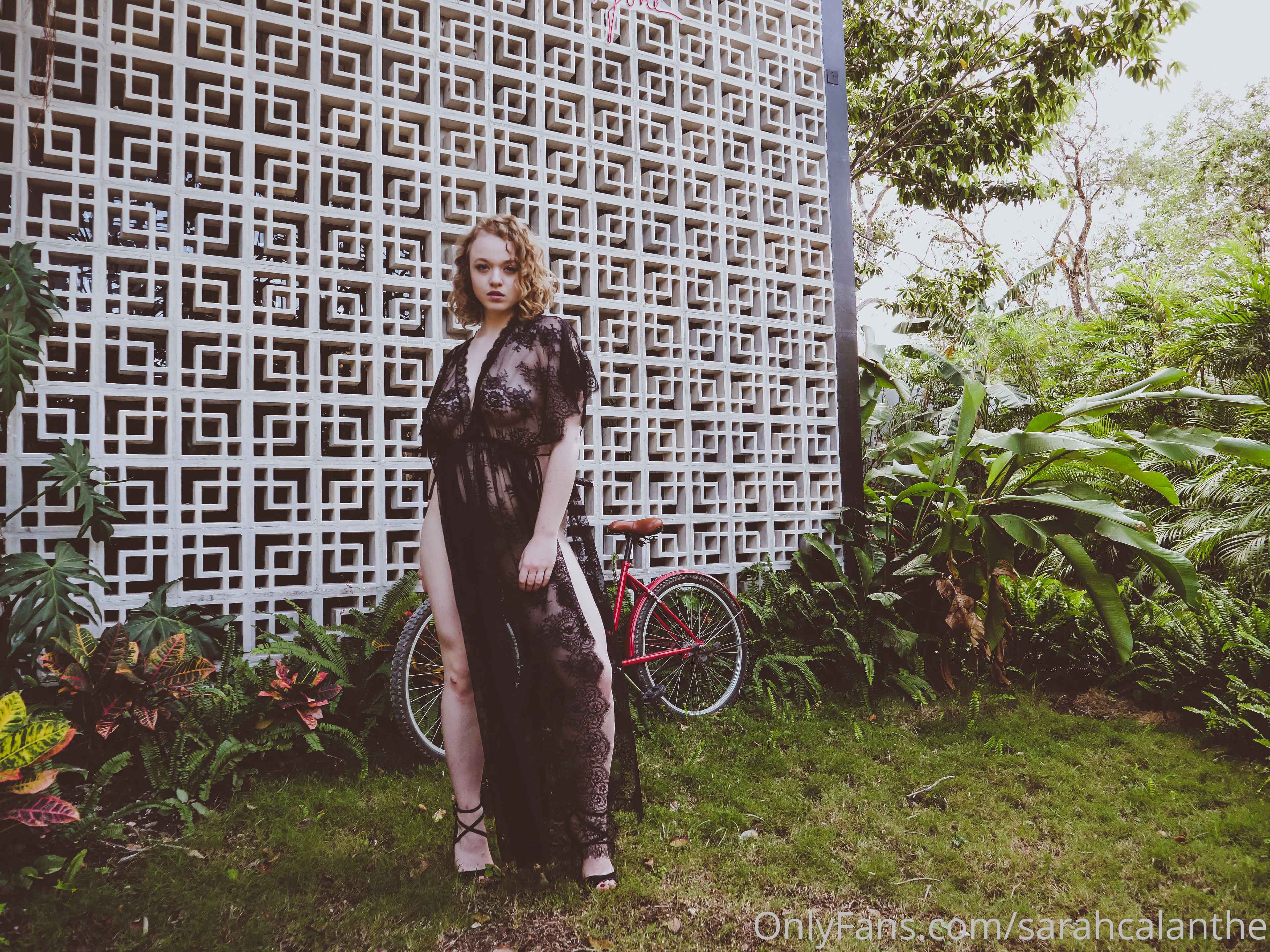 Photo 11 of Sarah Calanthe