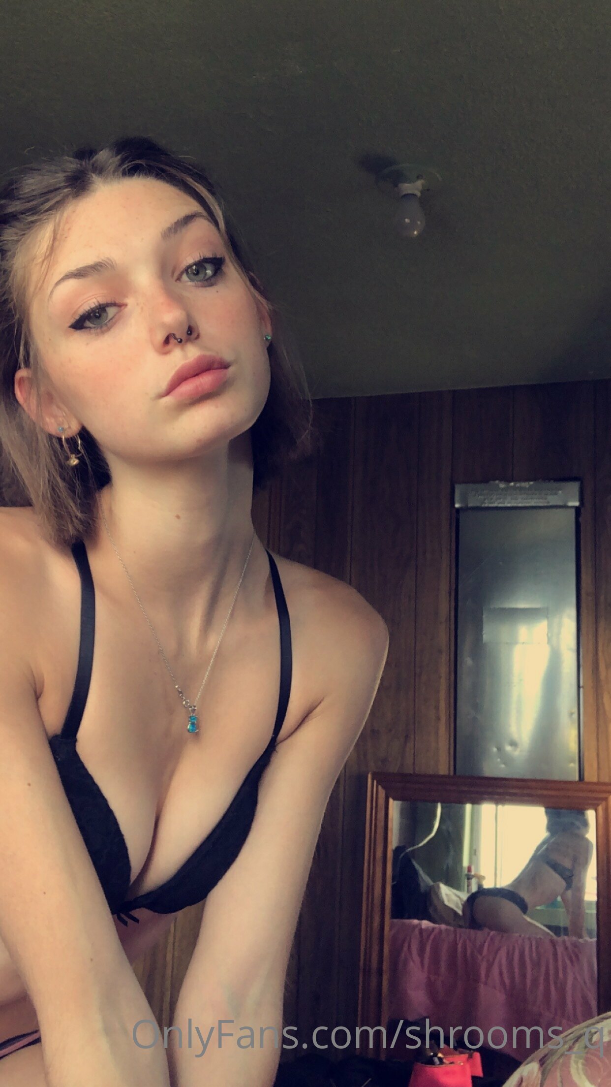 Photo 17 of Shrooms Q