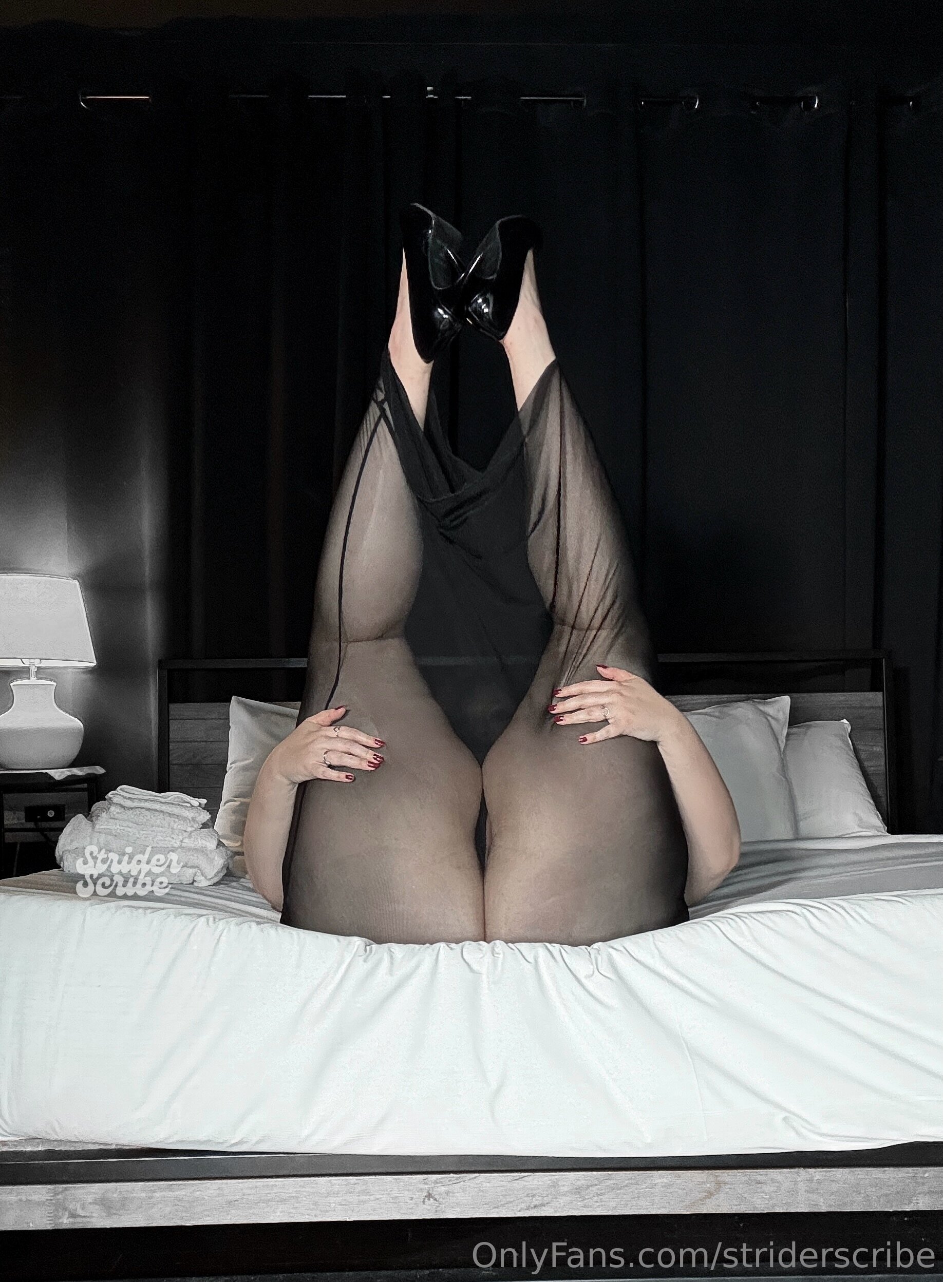 Photo 185 of Striderscribe