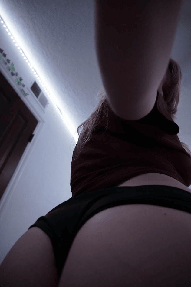 Photo 15 of swiskers