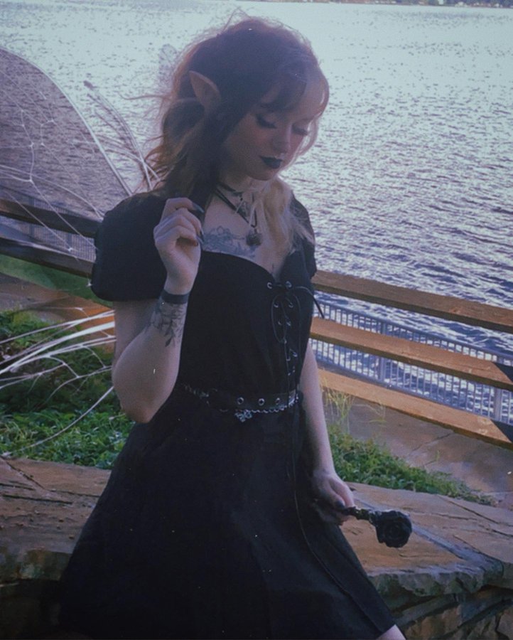 Photo 37 of Violetisawallflower